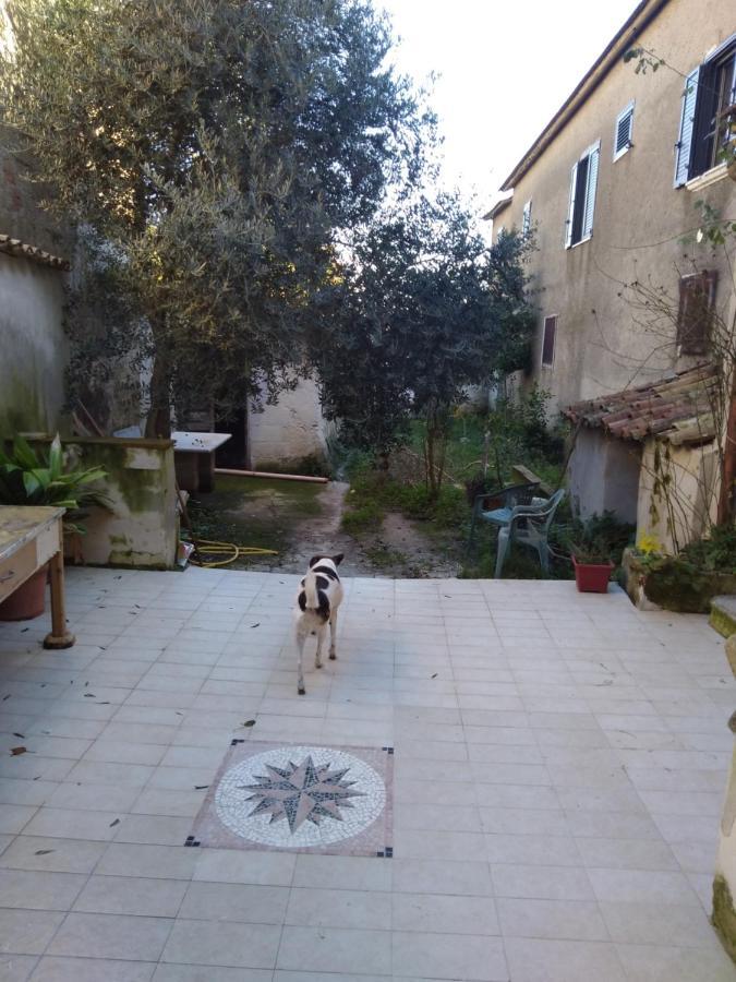 Casa Vacanza Zia Ersilia Rotondi Dış mekan fotoğraf