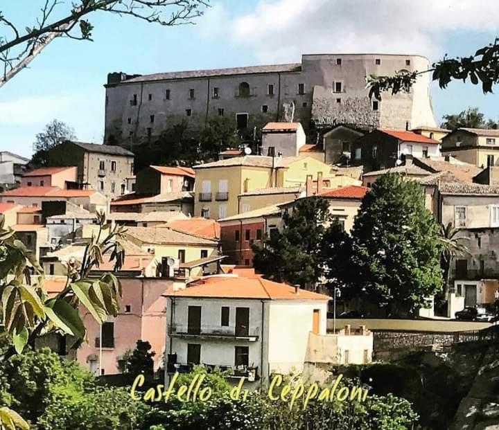 Casa Vacanza Zia Ersilia Rotondi Dış mekan fotoğraf